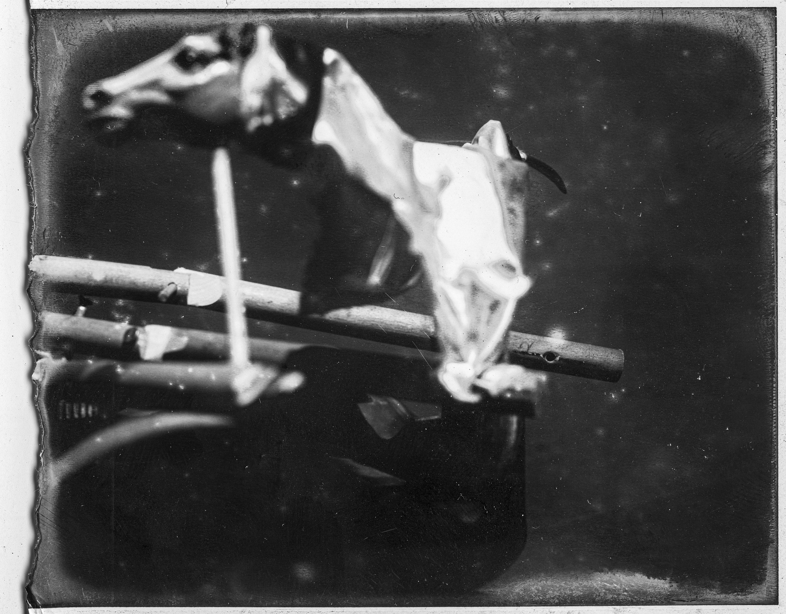 TODD MURPHY
Studies of Motion Series 4 , 1997 Ed. 1/2
SILVER GELATIN PRINT
8 x 10 in. (20.3 x 25.4 cm)