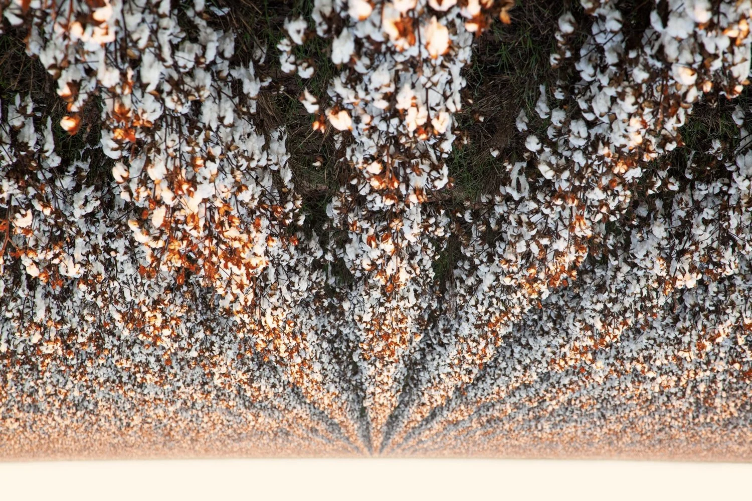 Todd Murphy , Starry Night, 2018