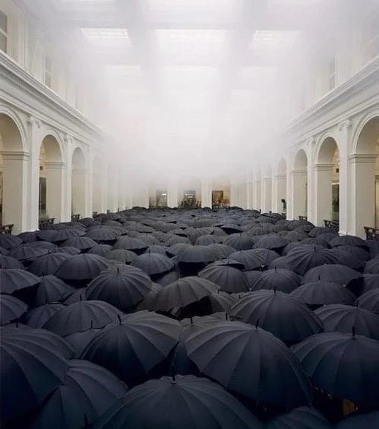 
Todd Murphy Wink Research material
Archives in MD