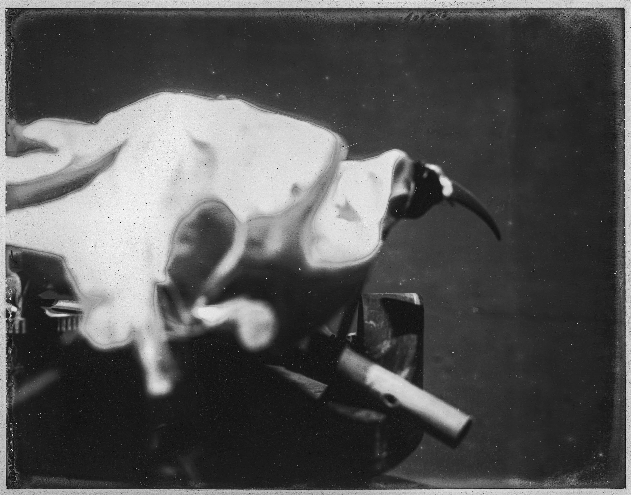 TODD MURPHY
Studies of Motion Series 6, 1997 Ed. 1/2
SILVER GELATIN PRINT
8 x 10 in. (20.3 x 25.4 cm)