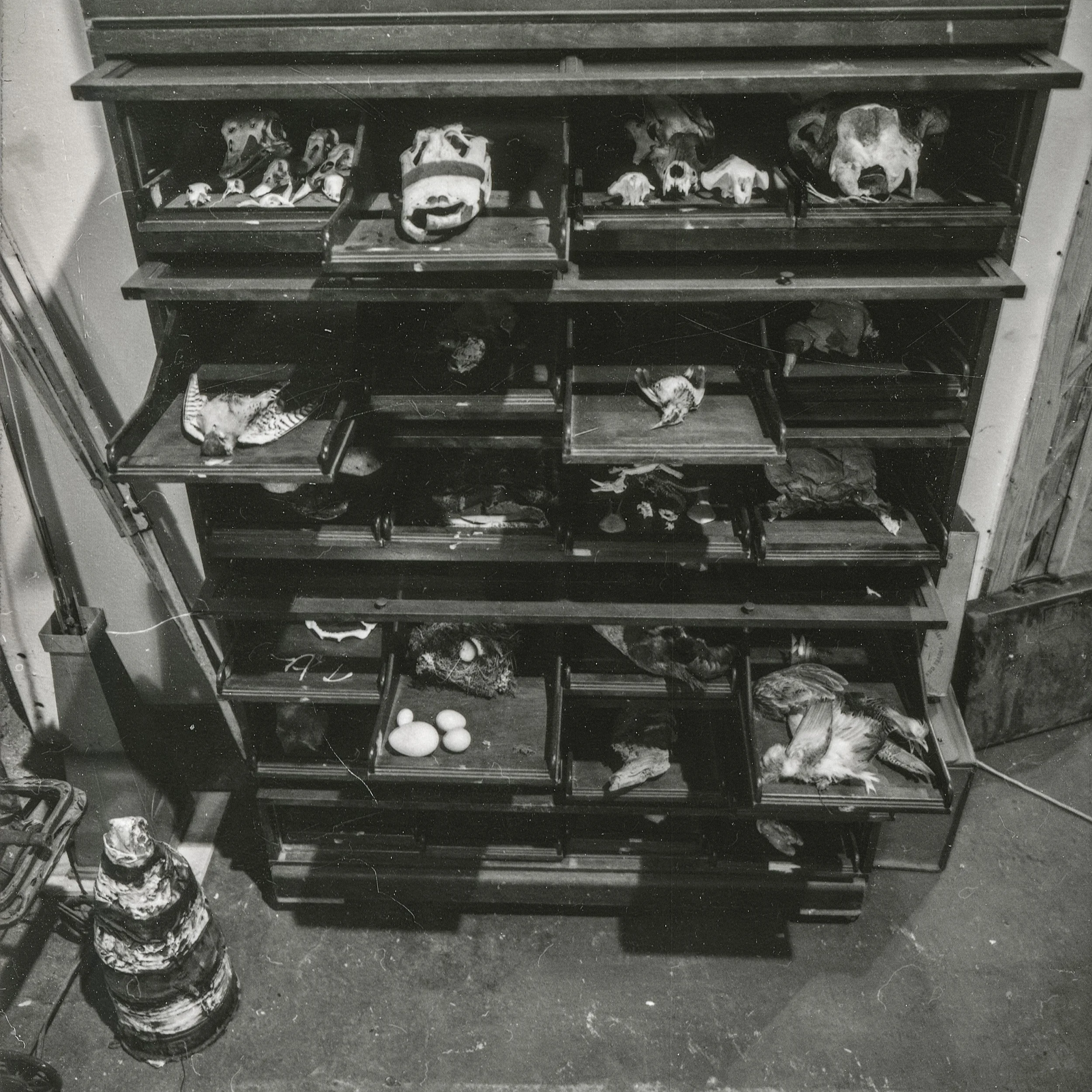 Todd Murphy’s Studio early 1990’s Atlanta