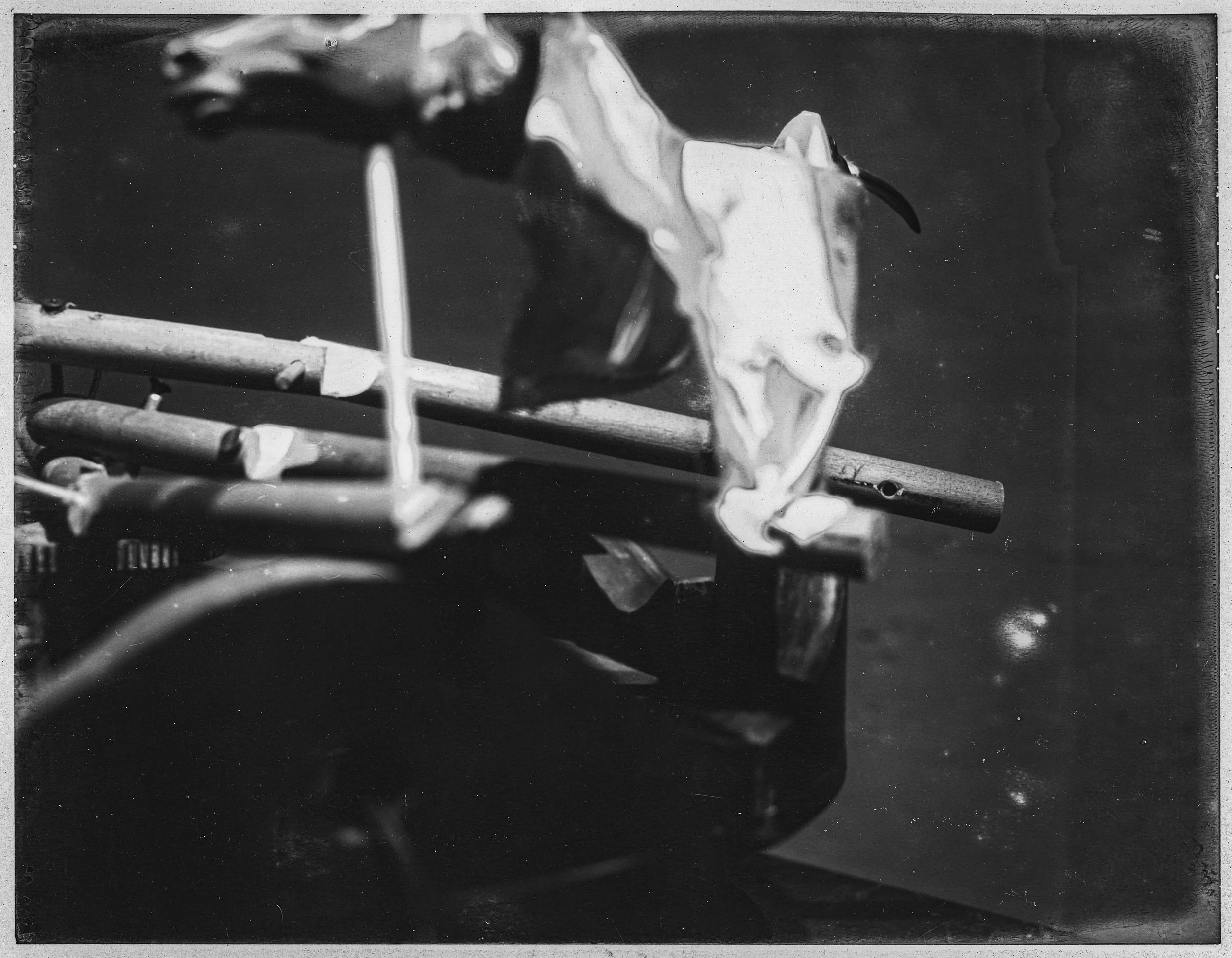 TODD MURPHY
Studies of Motion Series 5 , 1997 Ed. 1/2
SILVER GELATIN PRINT
8 x 10 in. (20.3 x 25.4 cm)