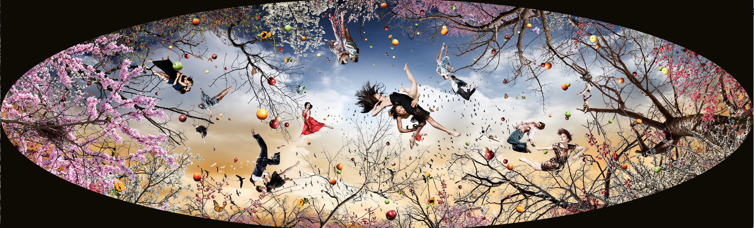 Screenshot 2024-07-25 at 2.43.32 PM.png