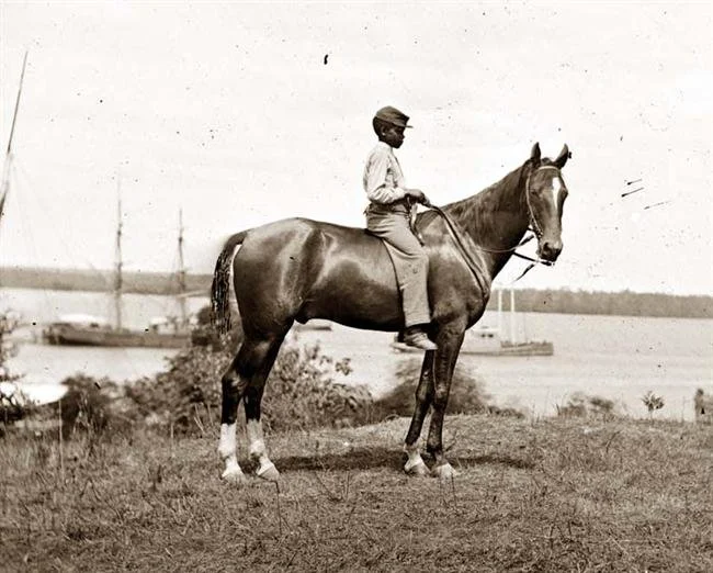 Todd Murphy Wink Research material
Archives in MD 2012-2019
works in progress to the final, sketches, prints from computer screenshots, books, research notes