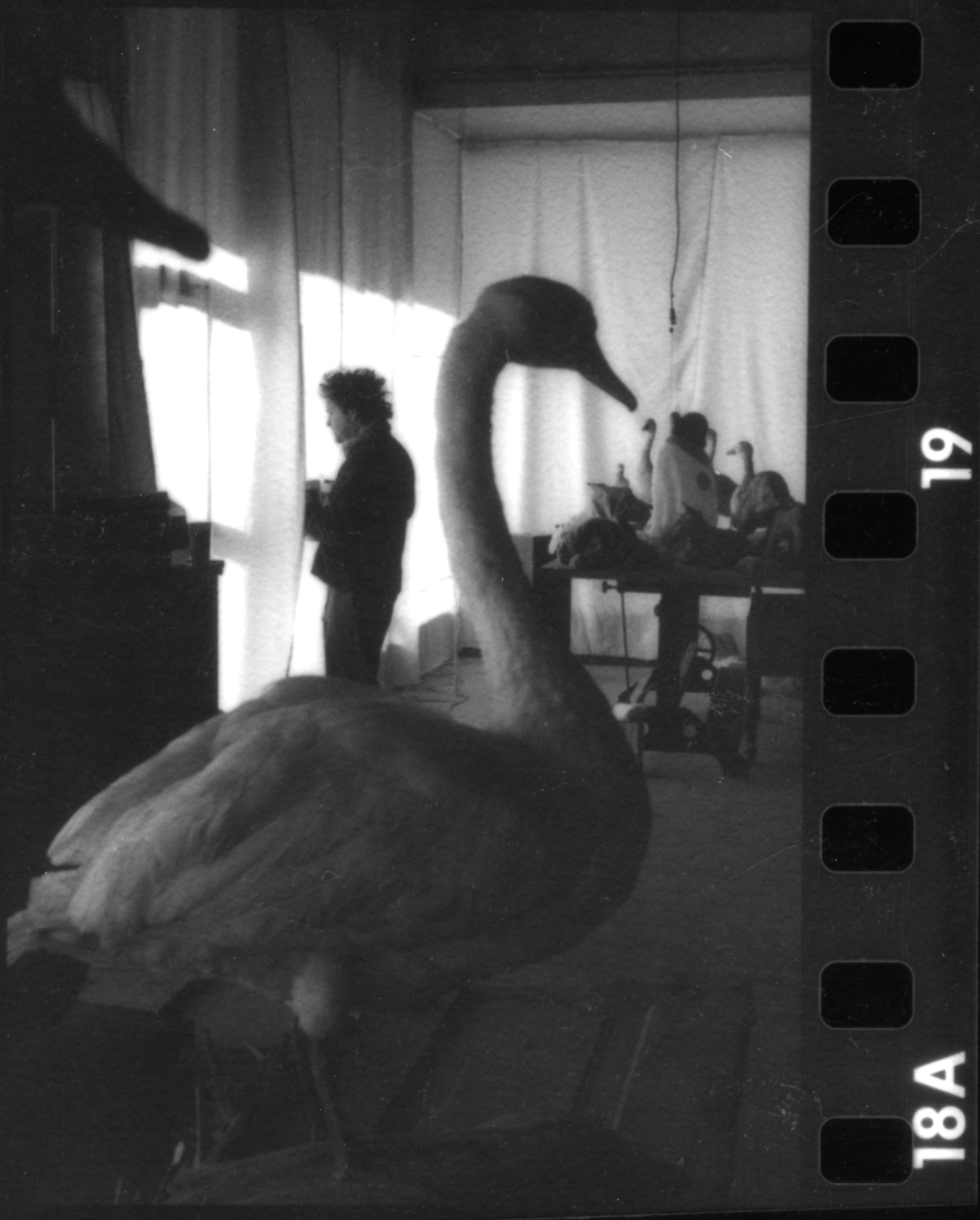 Charlottesville, Virginia 1996-2004
Studio 