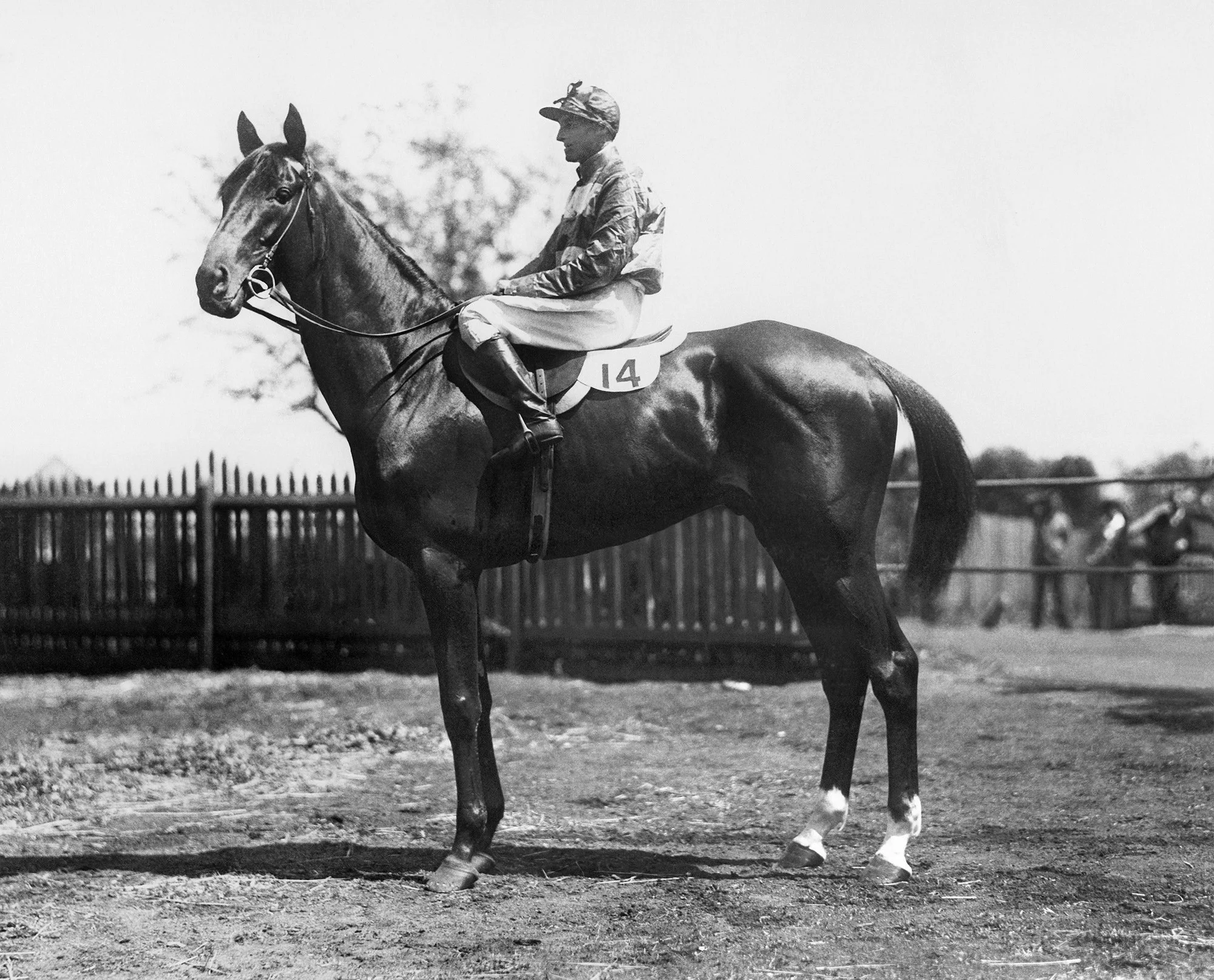 Todd Murphy Research material
Archives MD 2012-2019
works in progress to the final, sketches, prints from computer screenshots, books, research notes