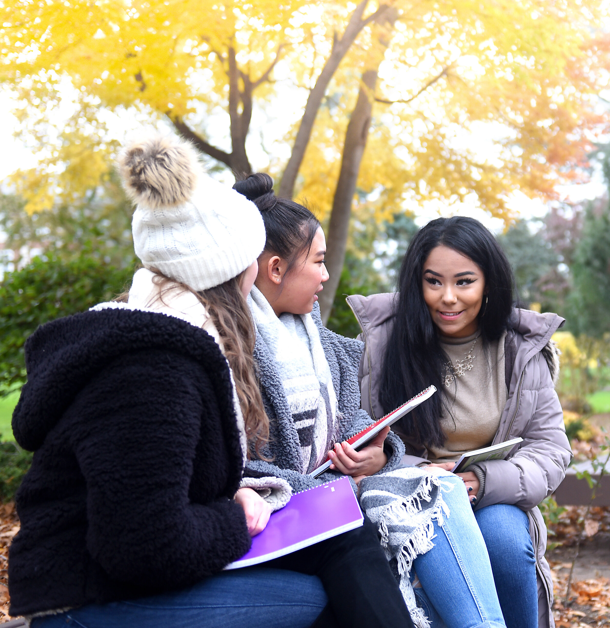 Students Study outside on Adelphi's campus in the fall.
