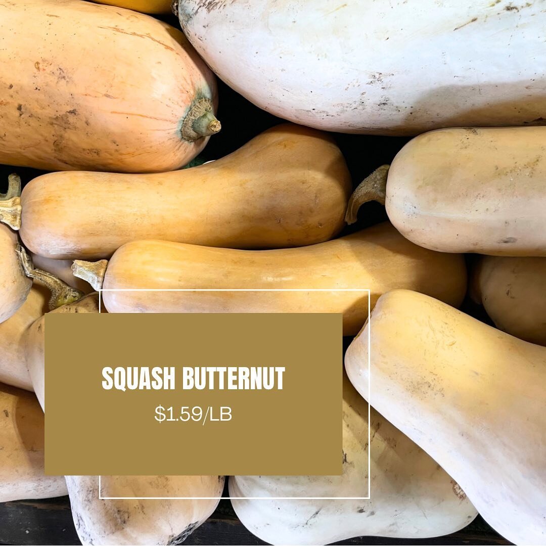 Squash butternuts available at Surrey Farm Markets at $1.59/lb.

For all those with a sweet tooth, bake and pair it with brown sugar, maple syrup and honey and have it fresh😋

Farm Markets:
5180 152 Street
4981 King George Blvd
🍃Open daily 9am to 6