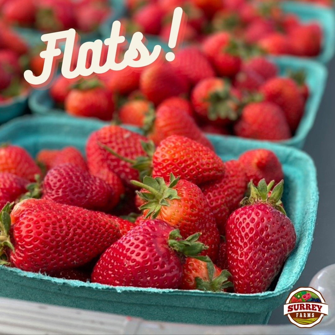 FLAT SPECIAL

Do not miss out on Surrey Farms season special berry deal, come grab those fresh picked berries now🍓

$16 for 1 flat
$45 for 3 flats
(4lb/flat)

Farm Markets:
5180 152 Street
4981 King George Blvd
🍃Open daily 9am to 6pm

#surreyfarms 
