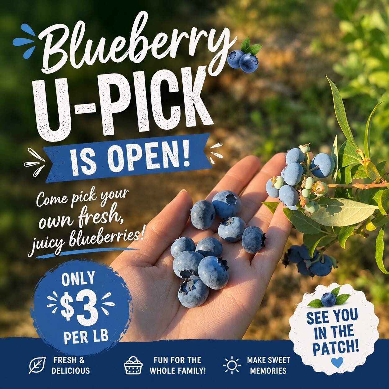 🫐sweet summer starts here!! U - Pick now open. ☀️

📍Farm Markets 
5180 152 Street 
4981 King George Blvd 
(Open daily 9am to 6pm)