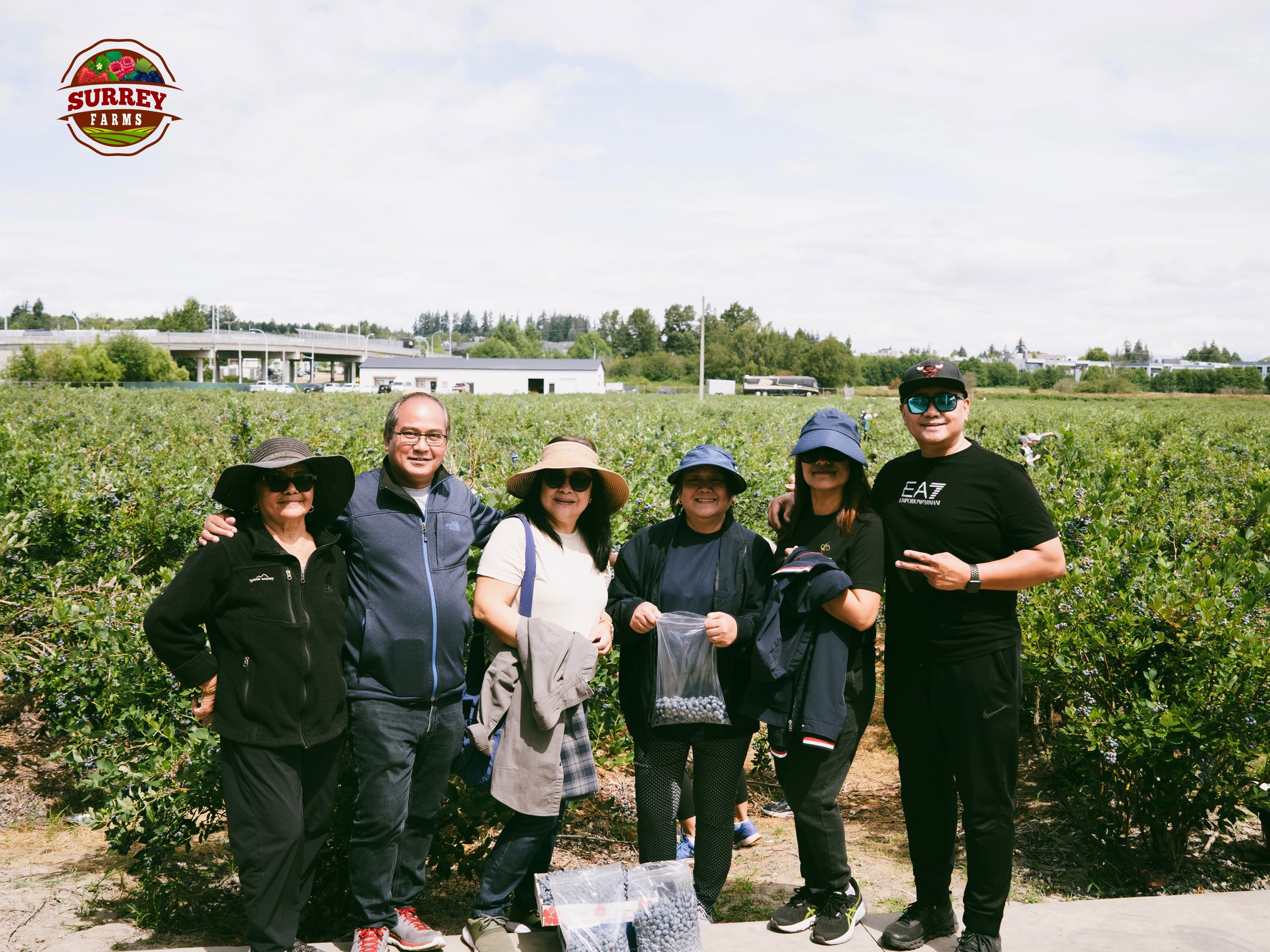 How many berries are too many berries?🫐

Grab a bucket and hit Surrey Farms to U-Pick the juiciest berries of the season, and stock them for the season ahead!

UPick💲: $3/lb
(No entry fee)

📍5180 152nd Street, Surrey
(Open daily 9am to 6pm)

#surr
