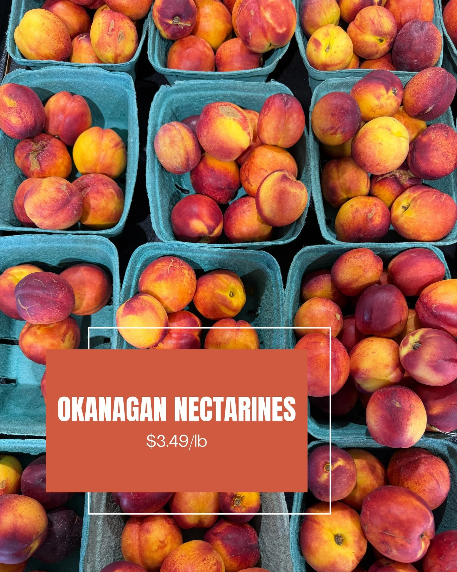 Fresh Okanagan peaches &amp; plums available at the #surreyfarm markets! Come pick your baskets today🍑

📍Farm Markets:
5180 152 Street
4981 King George Blvd
(Open daily 9am to 6pm)

#surreyfarms #okanaganfruit #farmmarket #supportlocal