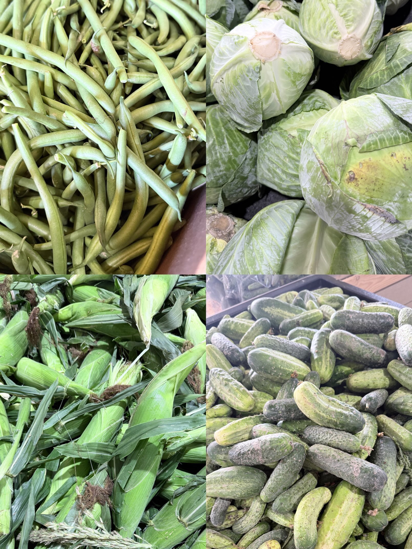 🌱 From Local Fields to Your Table 🌱
Sweet Chilliwack corn 🌽
Crisp green cabbage 🥬
Fresh local beans 🫛
Juicy field cucumbers 🥒

Freshness you can see. Quality you can taste. 💚

#LocalAndFresh #FarmToTable #Chilliwack #FreshProduce #BCGrown

📍F