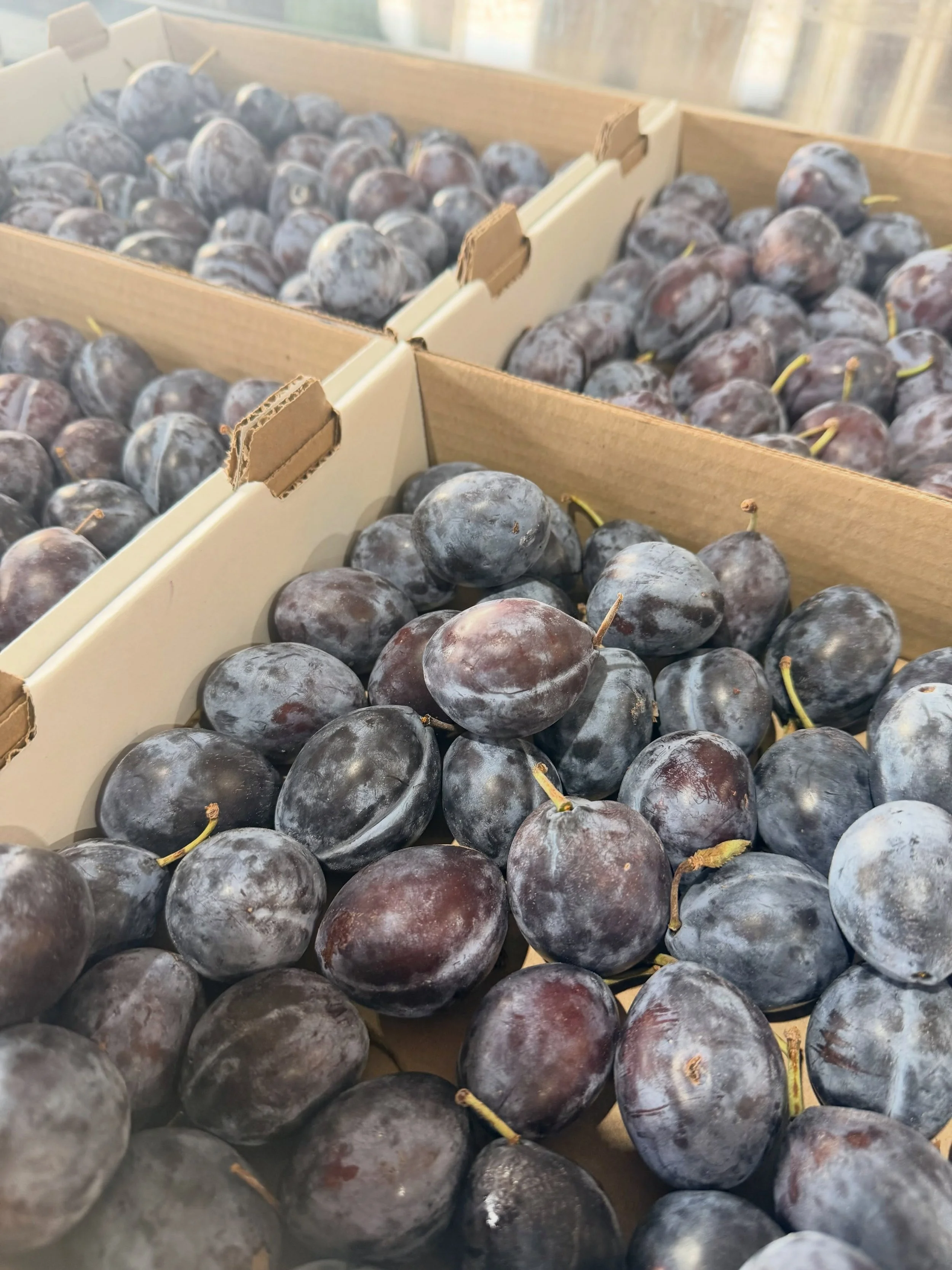 💜 Sweet, juicy, and naturally delicious &mdash; little bites of plum perfection!✨

#PrunePlum #FreshFruit #FruitLove #NatureGoodness #HealthyBites

📍Farm Markets 
5180 152 Street 
4981 King George Blvd 
(Open daily 9am to 6pm)