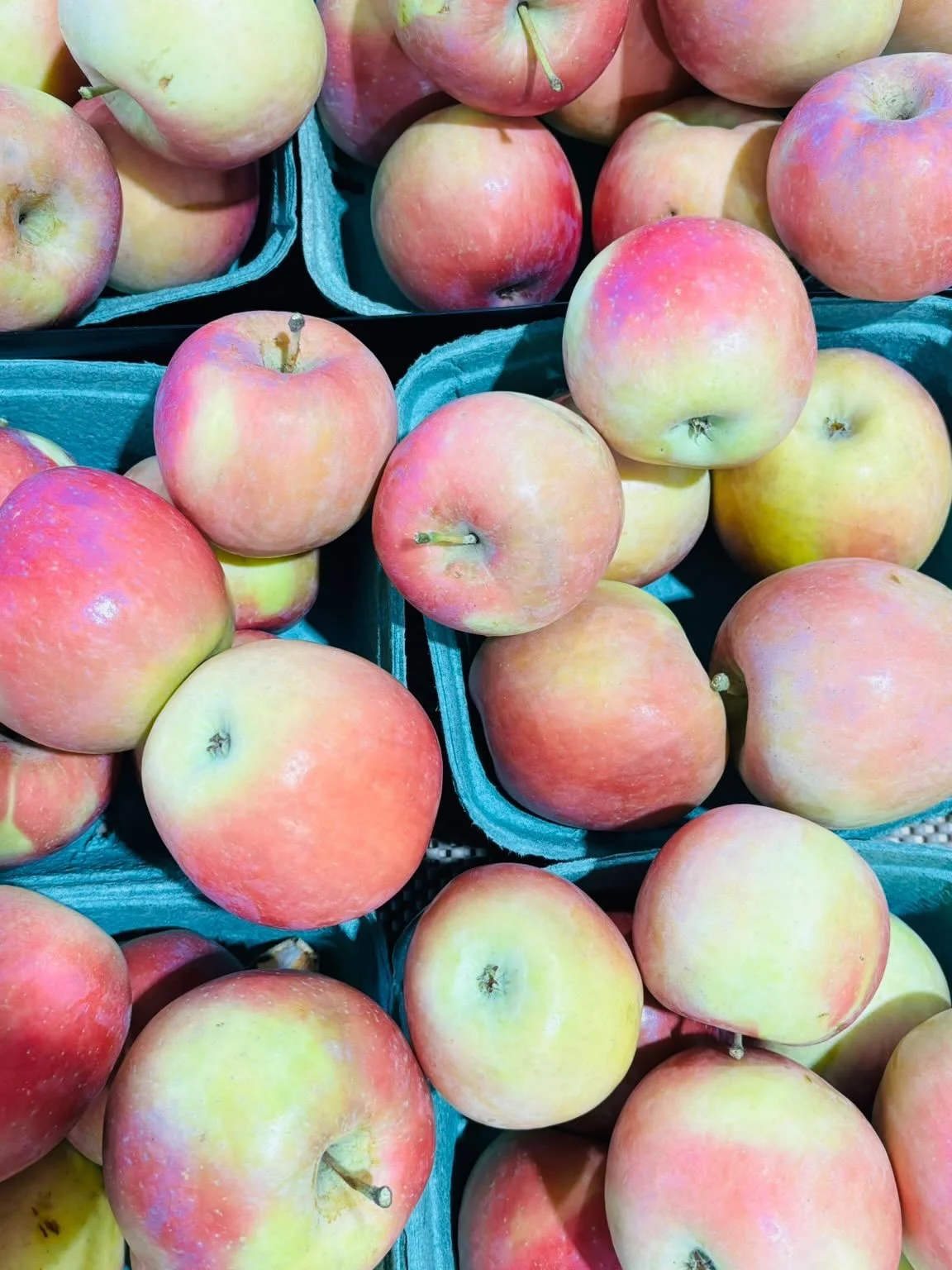 🍎 Crisp, juicy, and straight from the beautiful Okanagan! 🍎
A little taste of sunshine in every bite. 🍏✨
Freshness you can see, sweetness you can taste! 🌿❤️

📍Farm Markets
5180 152Street 
4981 king George blvd 
(Open daily 9am to 6pm)