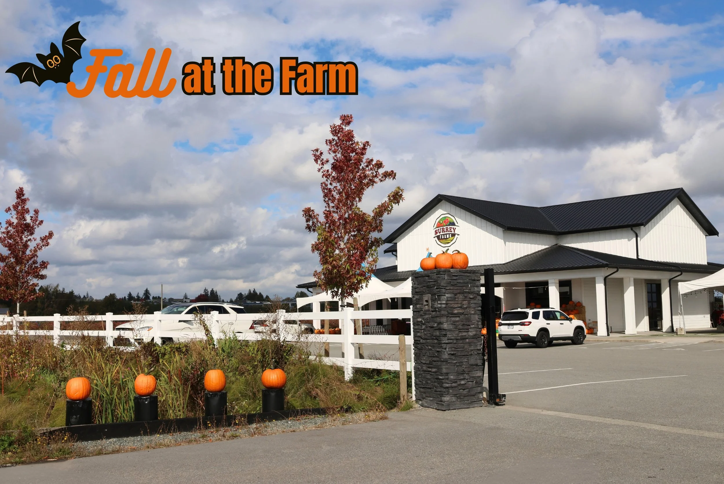Happy first day of the Fall🍁

Fresh from our very own field! These pumpkins are nice, big, fresh, and perfect for decorating, carving, or bringing that cozy fall feeling home.

Come pick your favorite pumpkin and celebrate the season with us 🎃🧡

?