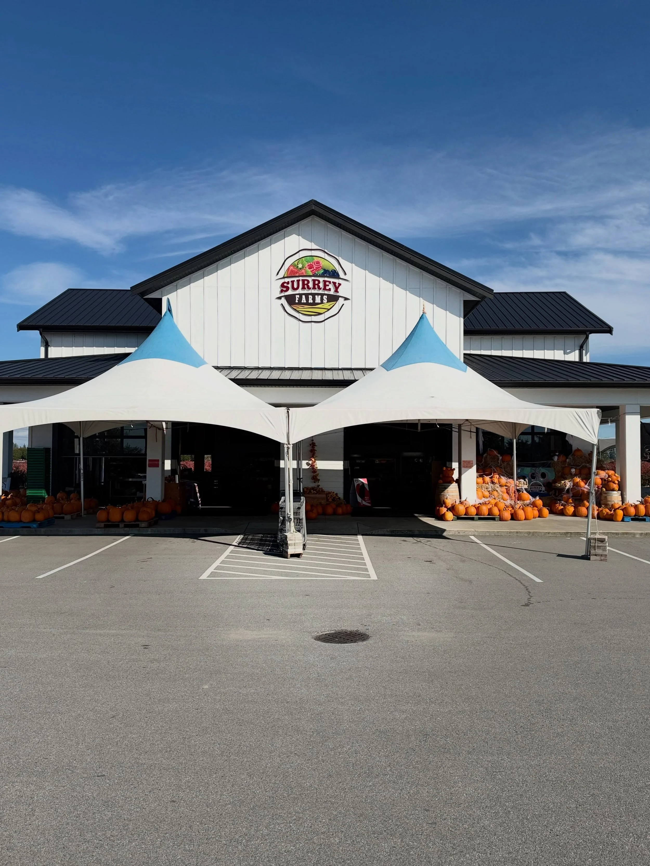 🍂✨ END OF SEASON SALE! ✨🍂

Our season is coming to an end, and we&rsquo;re saying goodbye with some GREAT DEALS! 🛍️❤️

🏷️ Selected items are now ON SALE!
Come by and grab your favourite fresh produce and goodies while supplies last!🎃

🌿 Fresh &