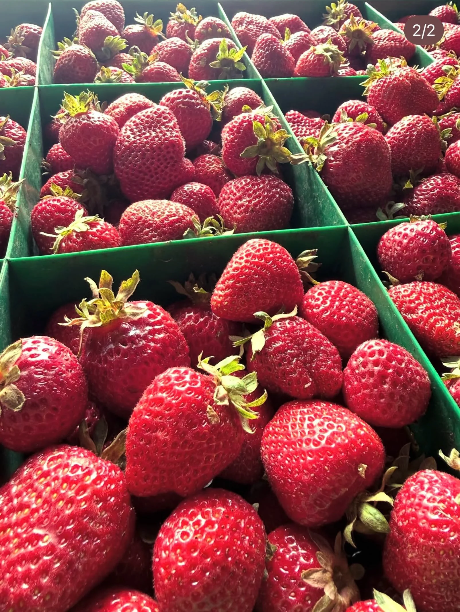 🍓❤️ FRESH STRAWBERRIES ARE STILL HERE! ❤️🍓

Good news, strawberry lovers! 😍🍓 We still have fresh, delicious strawberries available for you! Sweet, juicy, and perfect for snacking, desserts, smoothies, or sharing with family. 🍓✨

Stop by our mark