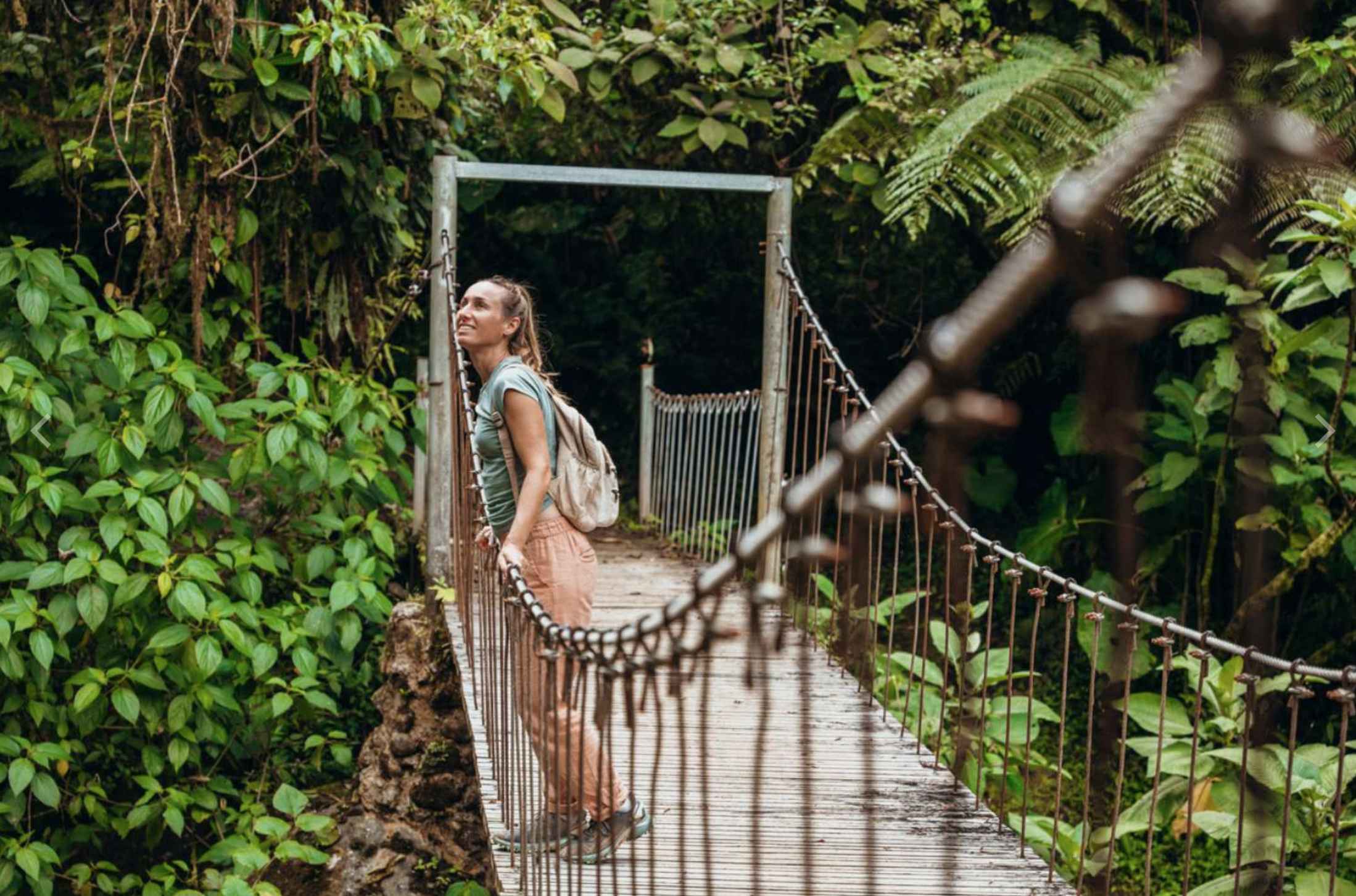 Guided Nature Hike in Costa Rica seeing birds, plants and animals