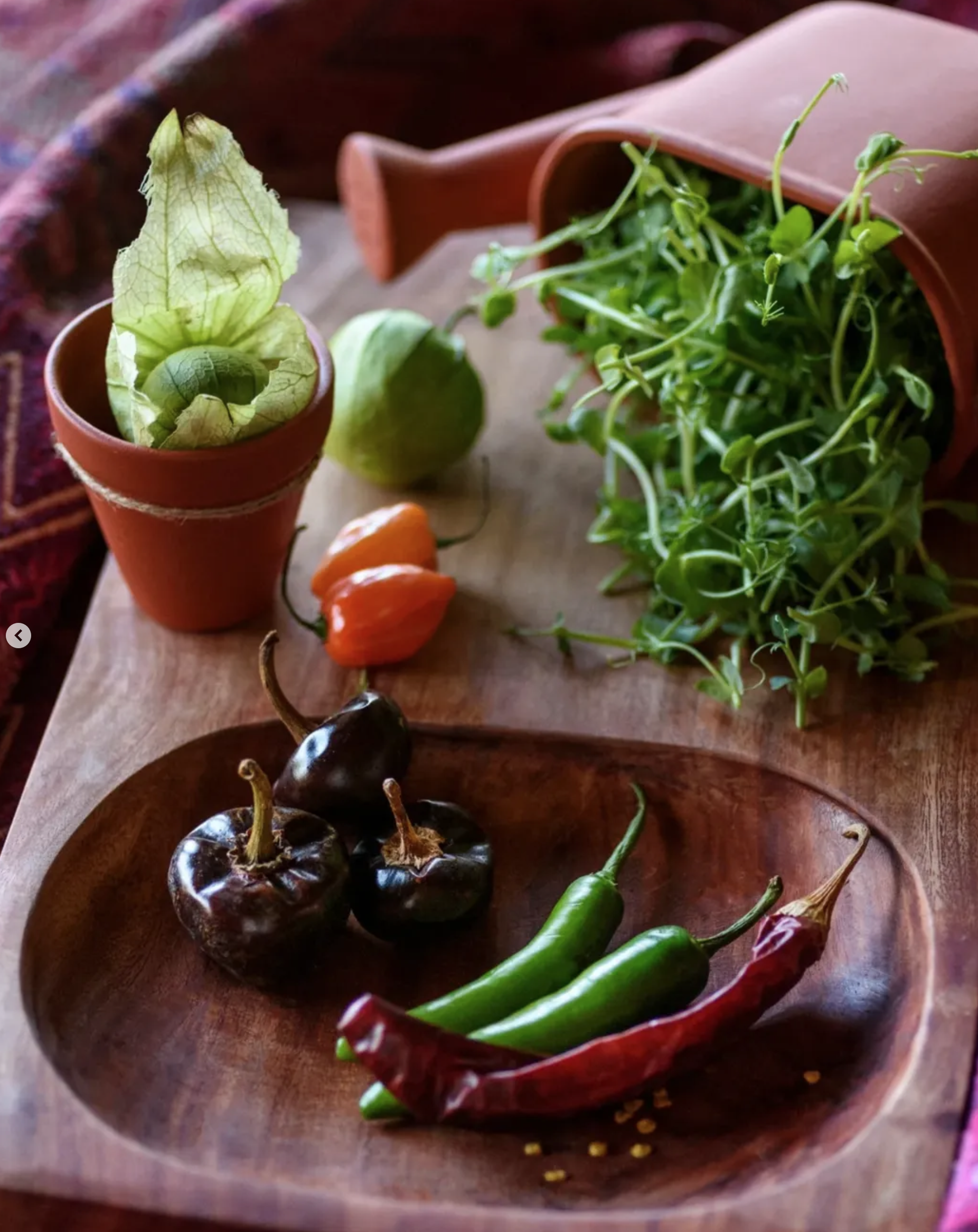 Cherry peppers, jalapeños, a lime, and a clay pot with fresh sprouted greens on a wooden surface.