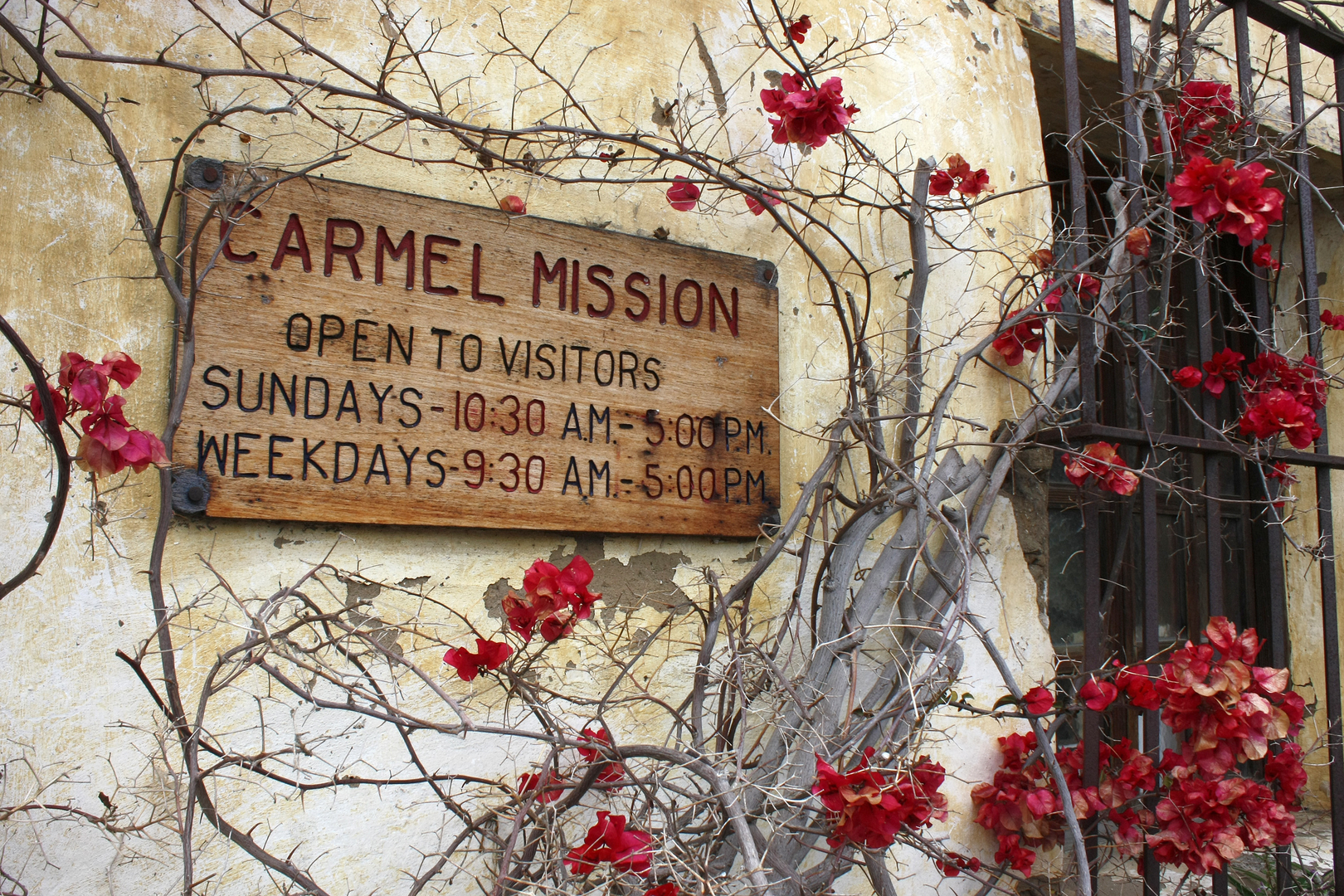 Wooden sign for Carmel Mission with hours of operation, surrounded by dry vines with red flowers, on a yellow stucco wall with a black barred window.