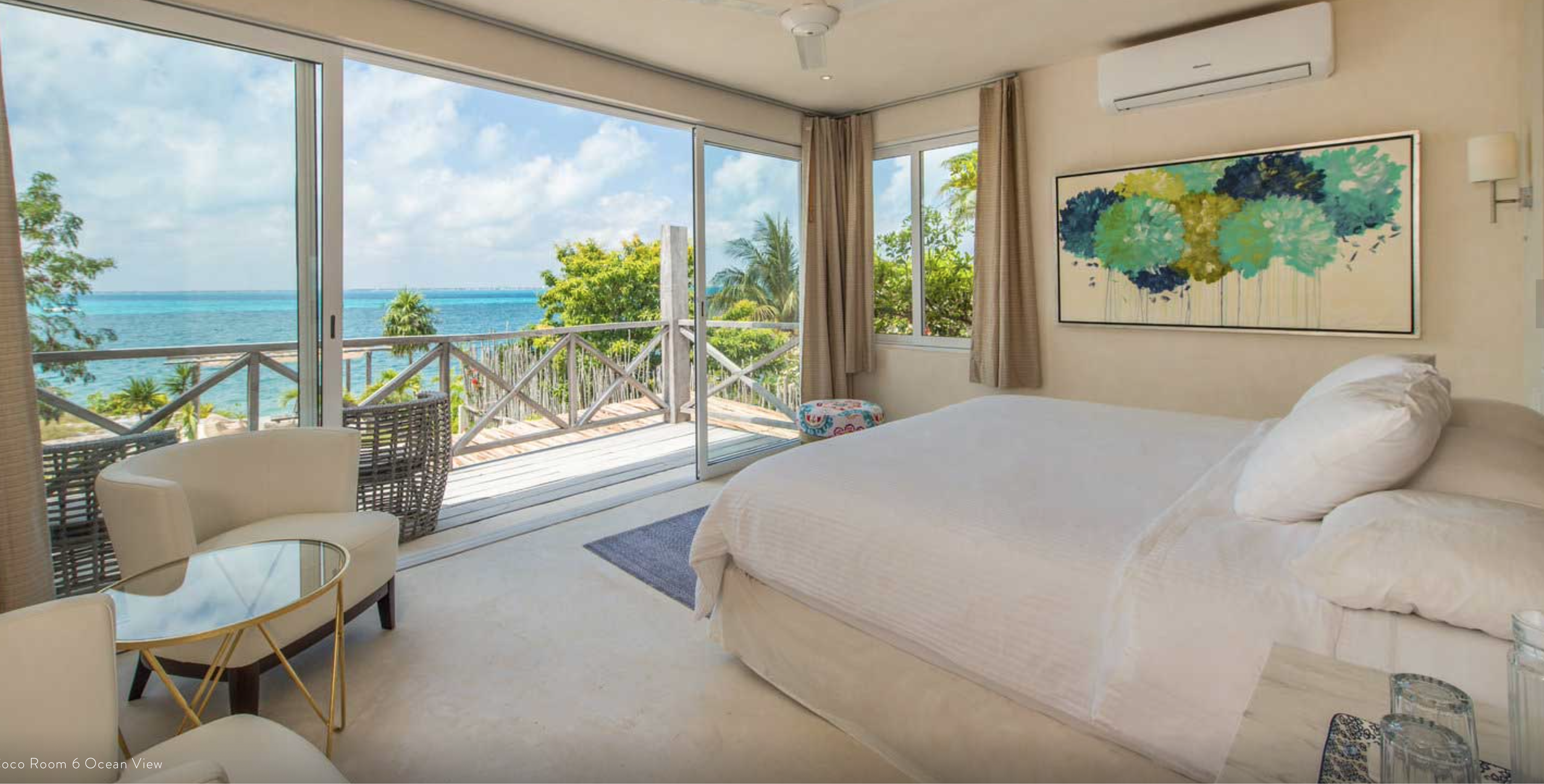 Room 6 coco b wellness