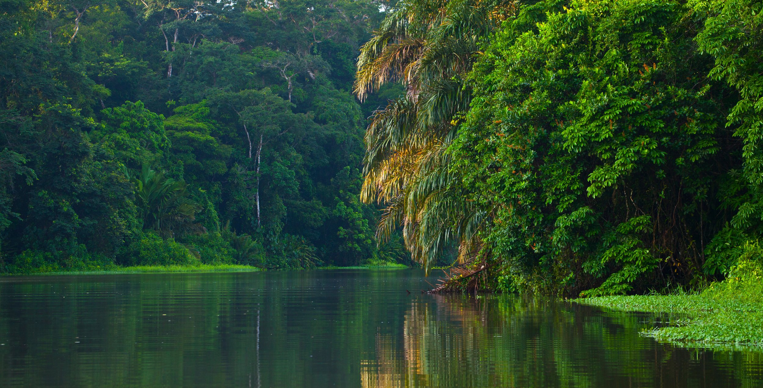Jungle River Wagon Adventure in Costa Rica