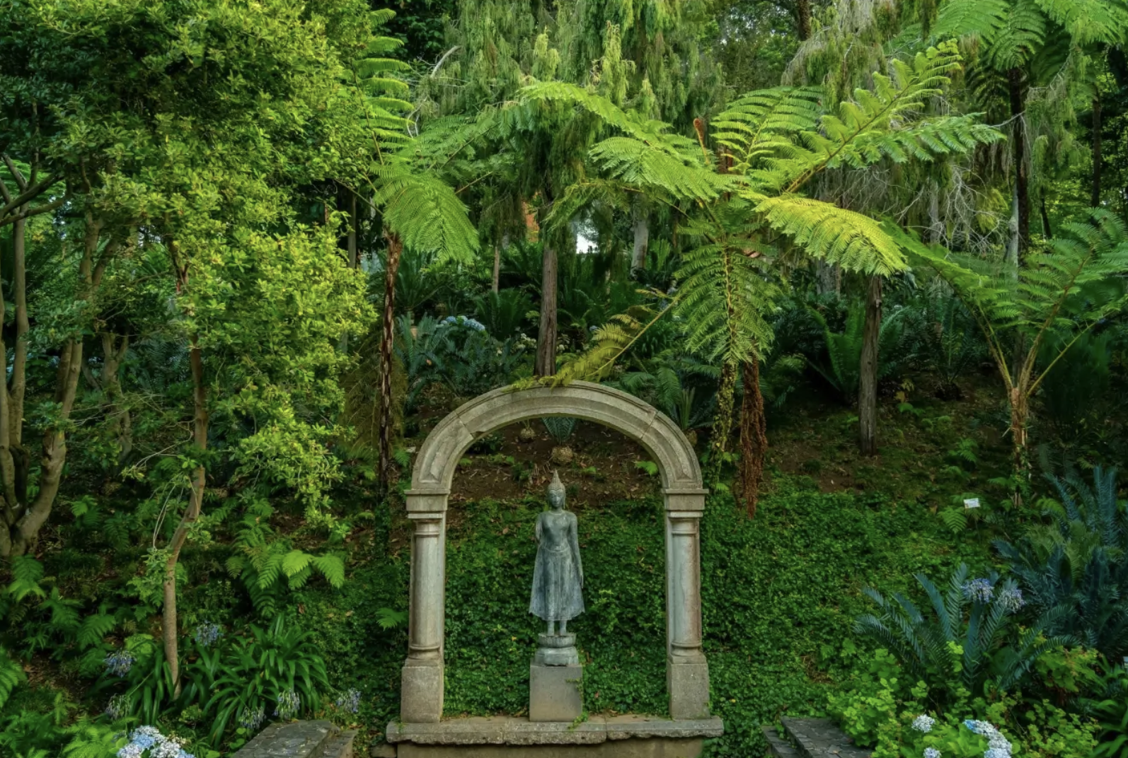  Monte Cable Car & Tropical Garden 4/1