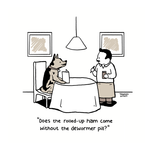 Dewormer.png?format=500w