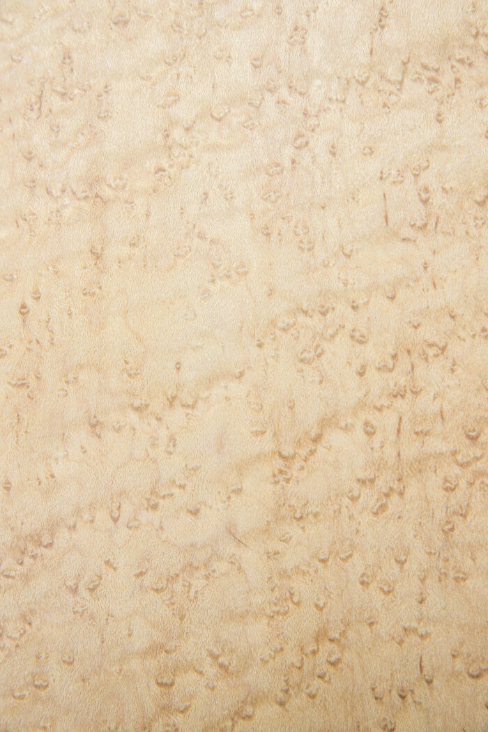 Birdseye Maple.jpg