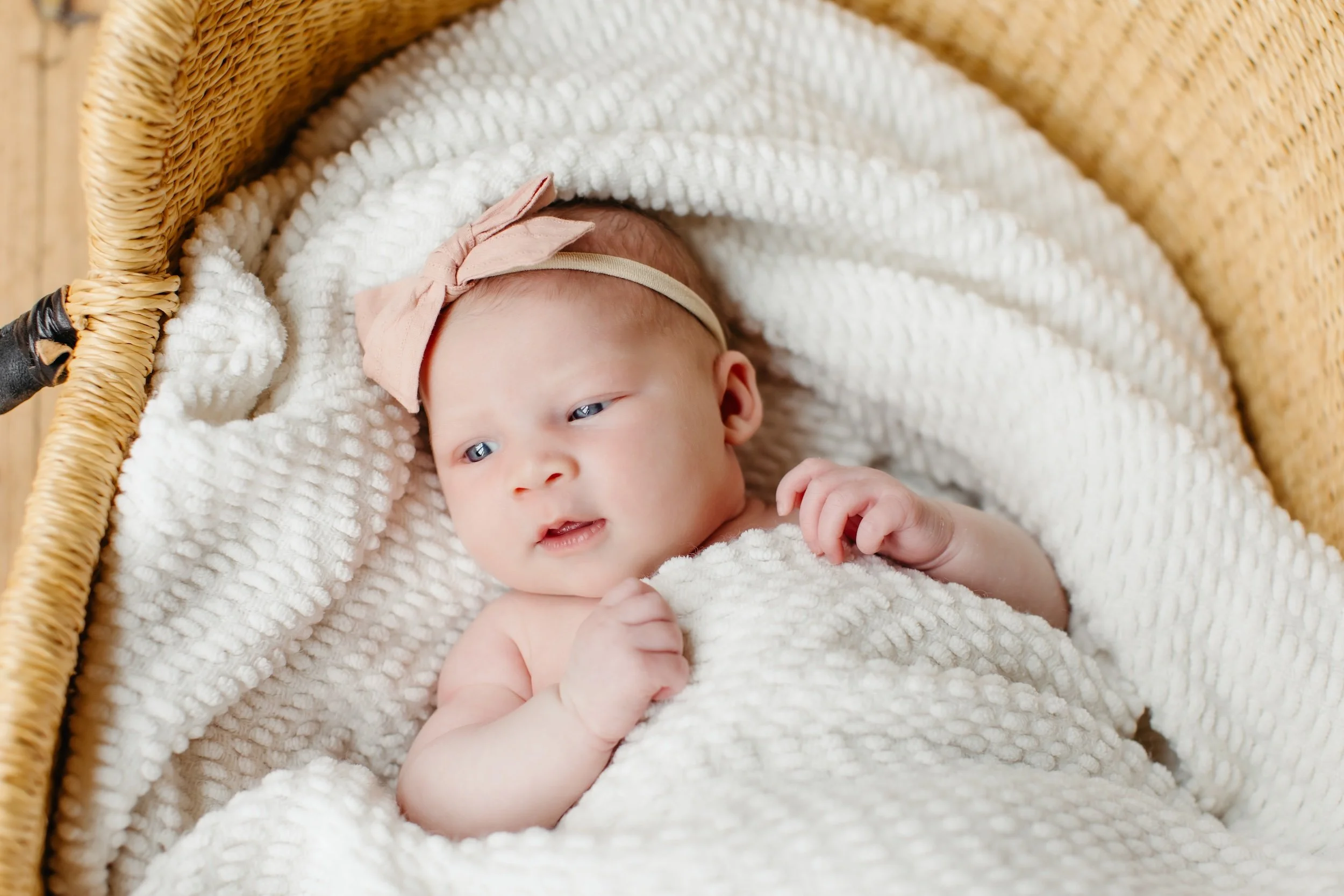 Image of a baby in a cozy basket during Seattle newborn session