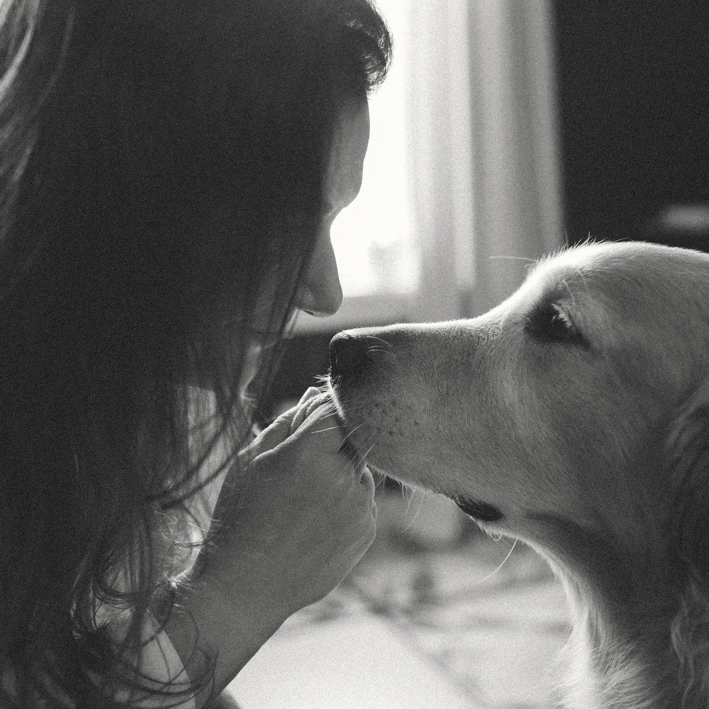 Because of the dog&rsquo;s joyfulness, our own is increased. It is no small gift. It is not the least reason why we should honor as well as love the dog of our own life, and the dog down the street, and all the dogs not yet born. What would the world