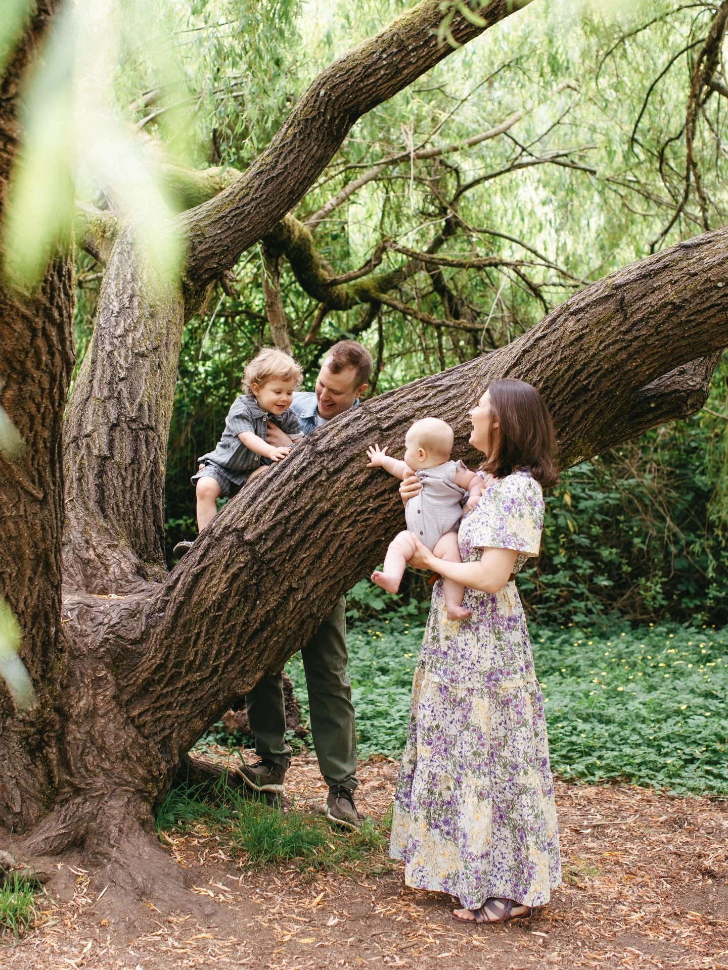 All this rain is just making our future outdoor photography beautifully green&hellip;at least that&rsquo;s what I am telling myself as I glare at the perpetual water coming from the sky. My spring books aren&rsquo;t online because I&rsquo;m waiting f