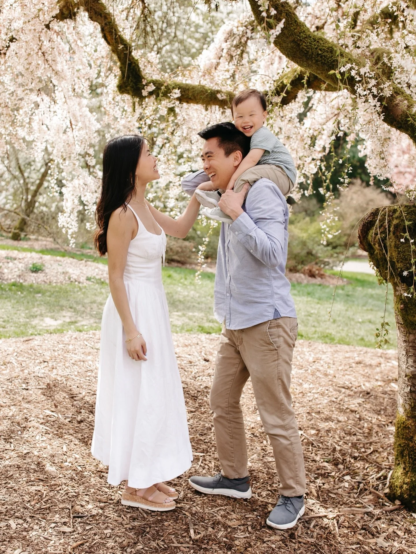 Cherry blossom season is ready for us! The blooms at UW and the arboretum are at peak bloom so during my minis next Sunday they will start to be at snowfall - tiny pink petals falling in our photos will be extra magical! I have two slots left and you