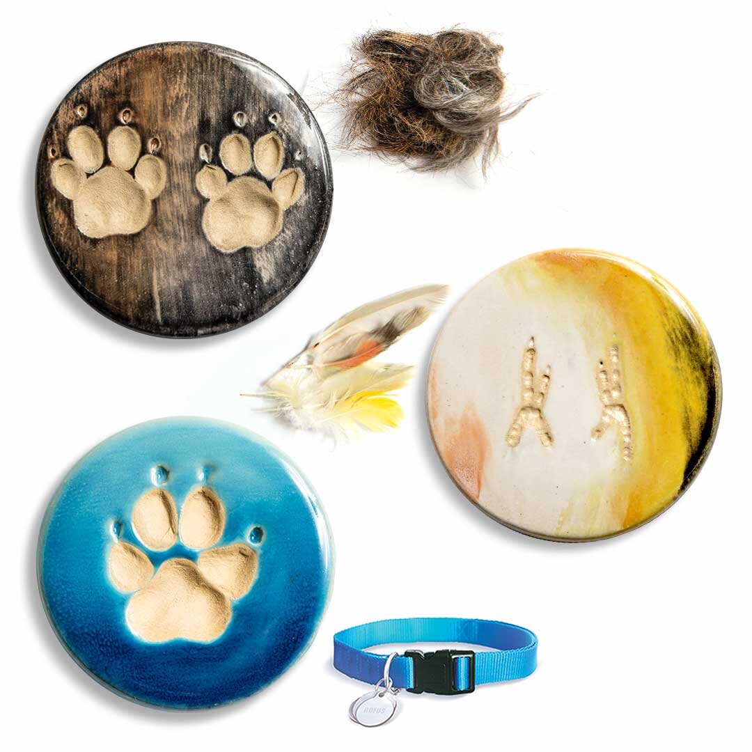 Fur & Colour Match Spawt