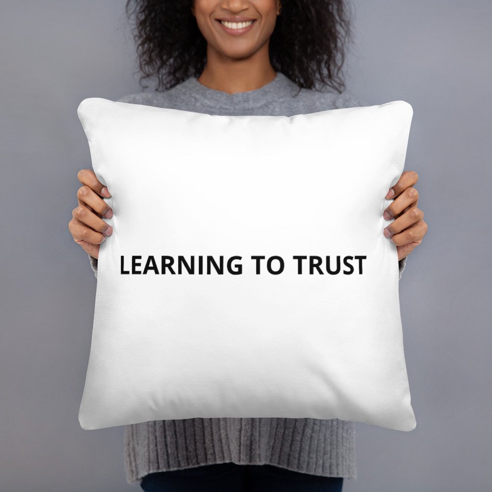 all-over-print-basic-pillow-18x18-back-61b64e9c5a0c9.jpg