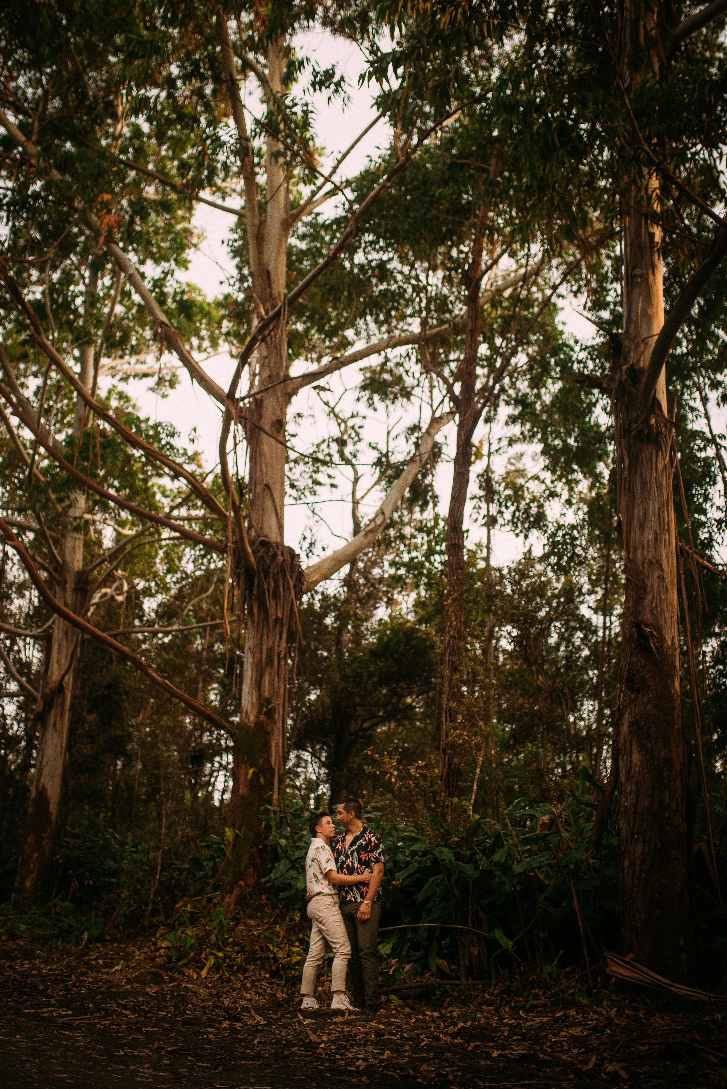 LGBTQ eucalyptus tree kona hawaii photographer