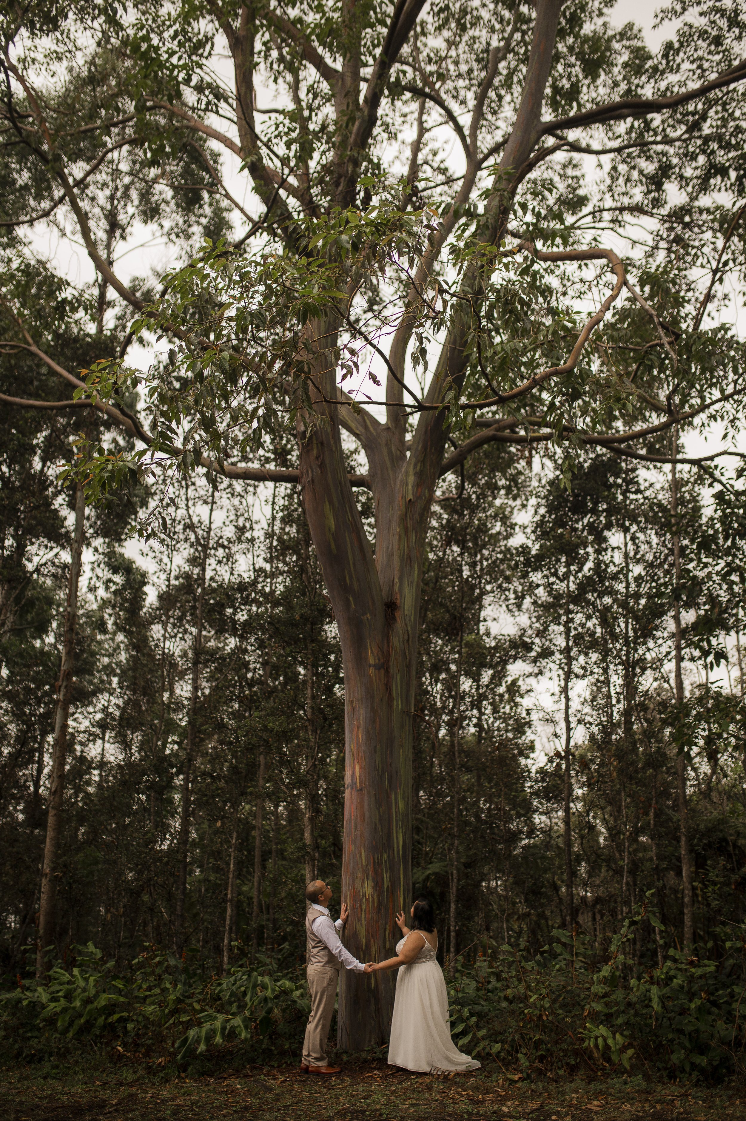  Hawaii Big Island Kona Couples Photographer Kaloko Elopement Wedding Photography  