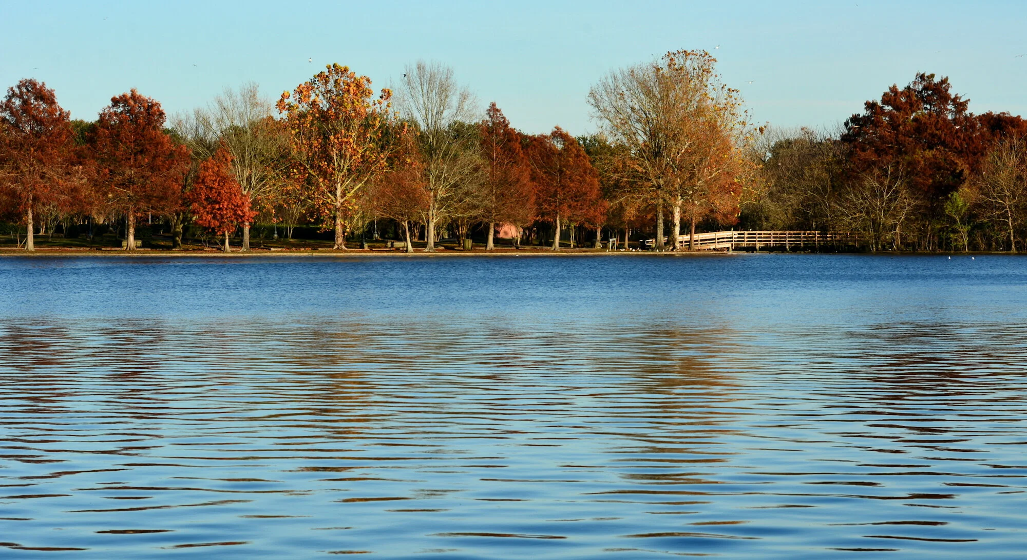 Youth Accounts — Jefferson Parish Employees FCU