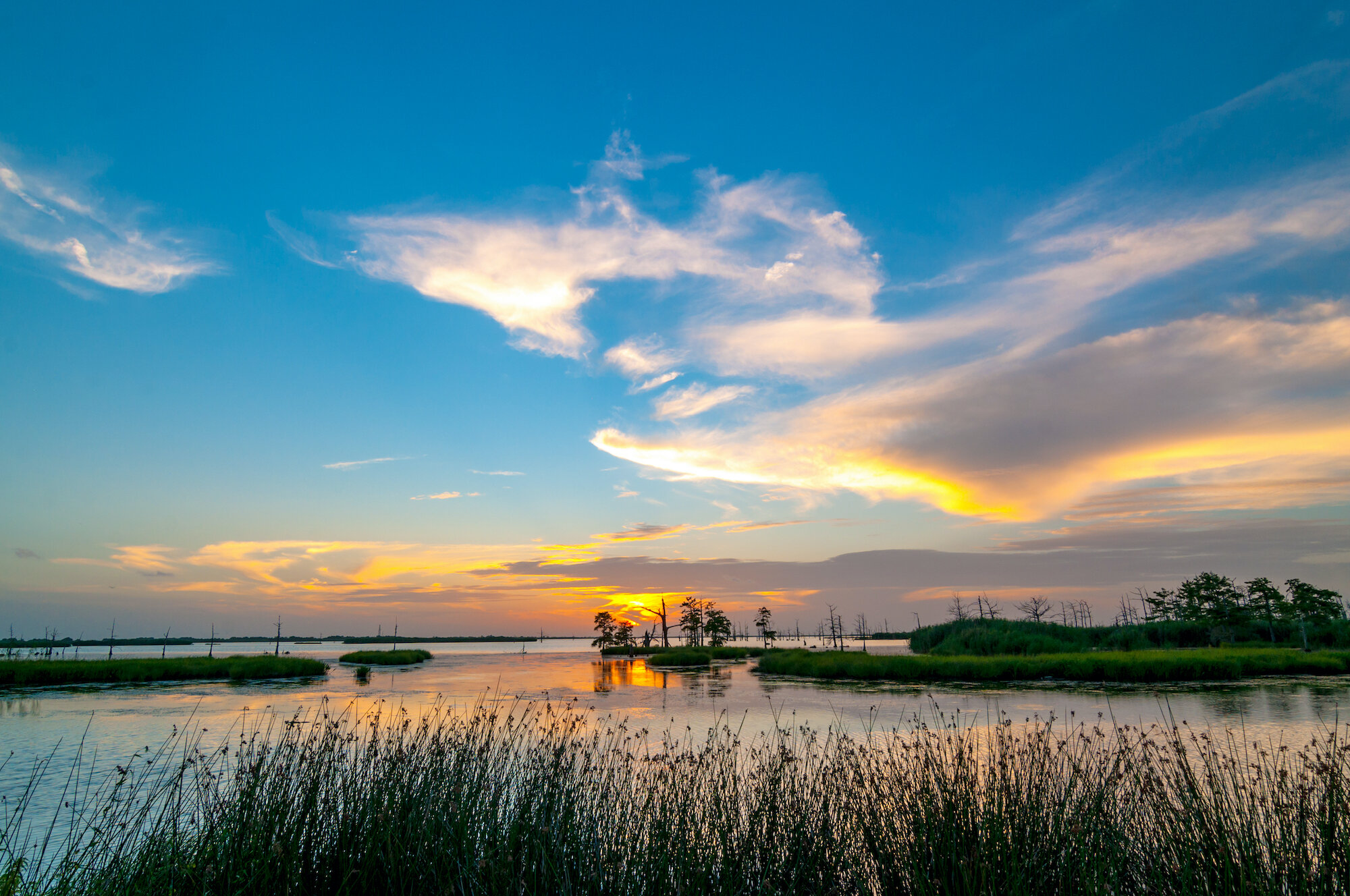 shutterstock_456703156.jpg
