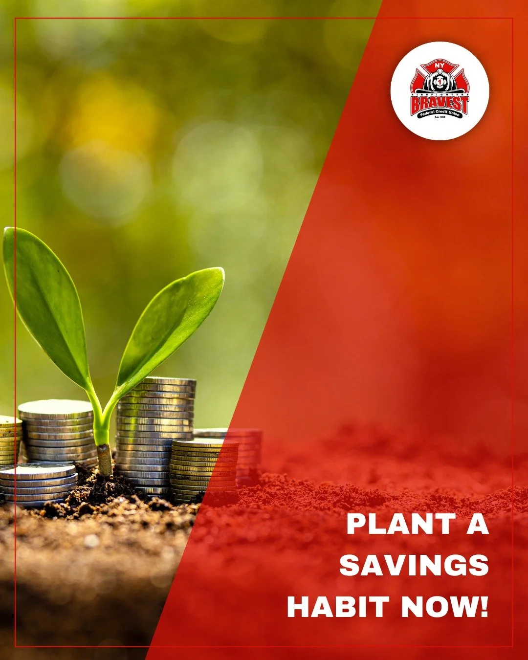 Spring is a season of growth, and a Club Account is designed to help you save steadily for specific goals.

Whether it is holidays, travel, or yearly expenses, setting money aside regularly can make planning easier.

Plant a savings habit now and wat