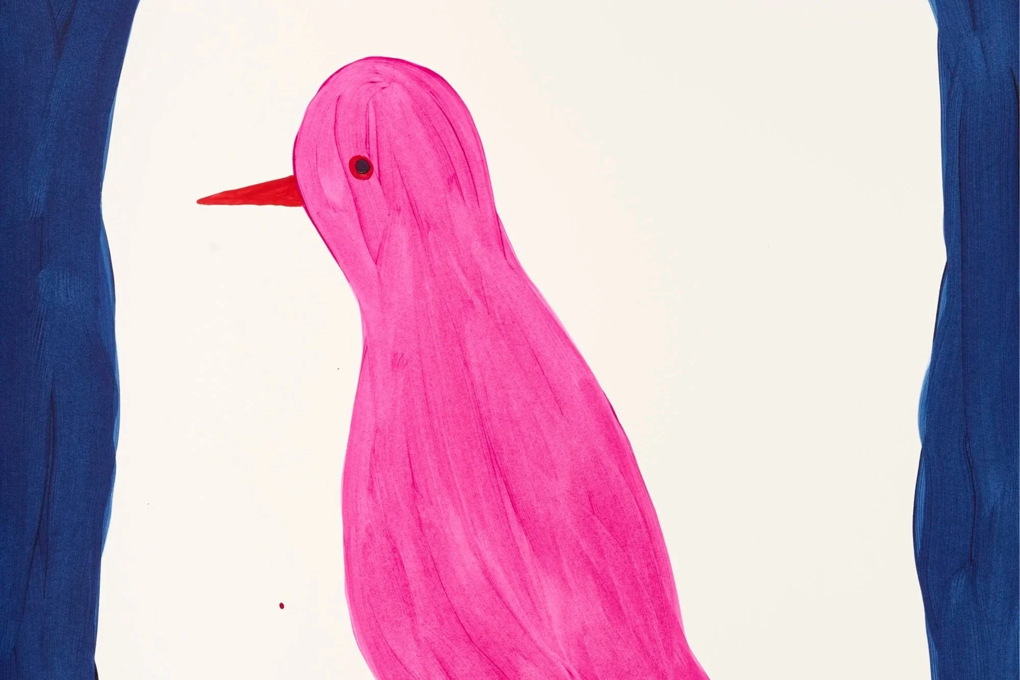 David Shrigley