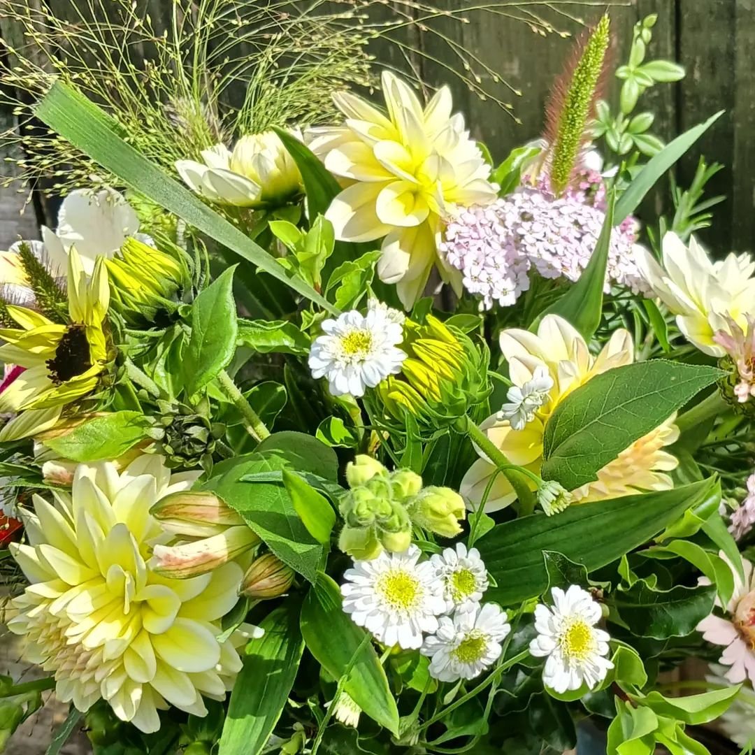 Fresh, vibrant, and full of scent, compostable farewell funeral flowers. We're proud to be part of @farewellflowers directory celebrating farewell flowers with a difference. 

#flowerfarm #seasonalflowers #compostable #ShoplocalBath #thefarewellflowe