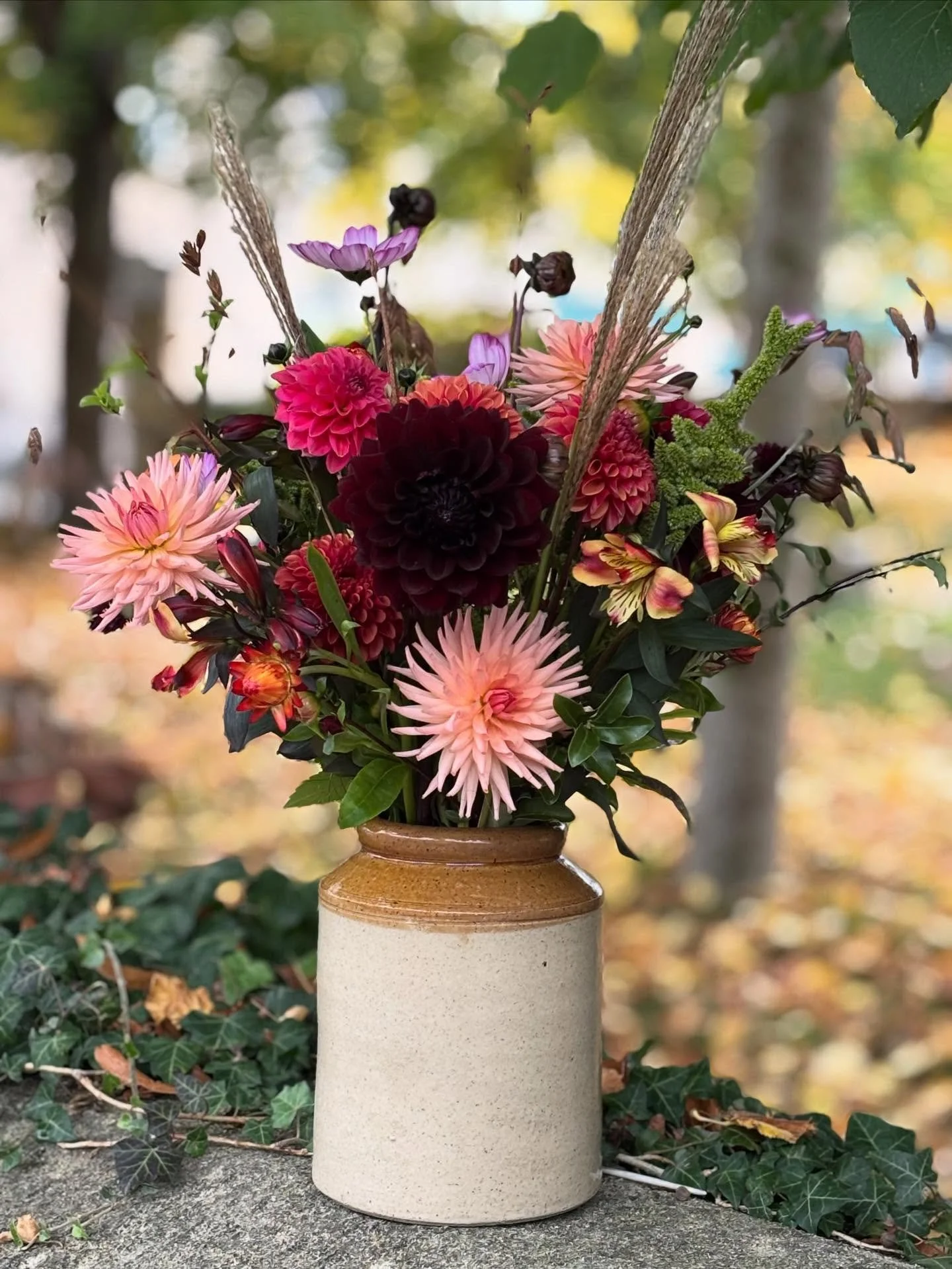 Marmite flowers. 

Lorraine has always been a lover of ornamental grasses and has fantastic knowledge of the different varieties. Truth be told, I never used to like them. Now I am hooked, for texture, structure and vase life in autumnal arrangements