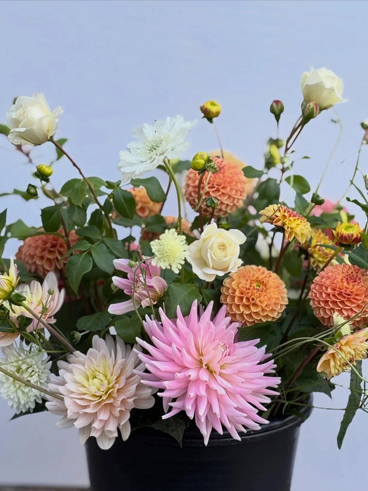 SUBSCRIPTION REVIEW : (Thank you very much Harriet W, Combe Down)!

&ldquo;It was such a joy to receive a bucket of gorgeous, locally grown flowers every month. My partner renewed the subscription when our baby was born so we&rsquo;d always have fres