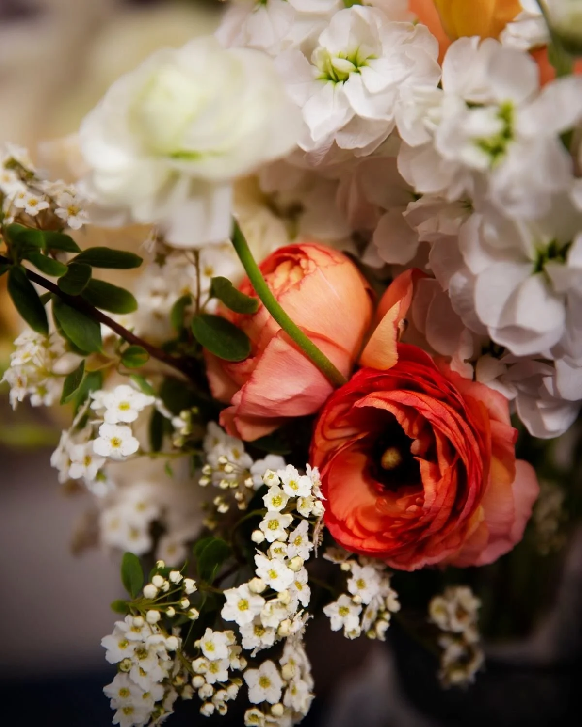 The spring flowers are beginning to pop but the best is still to come. If you are looking for a special gift this Mother&rsquo;s Day why not opt for one of our beautifully presented gift vouchers or subscriptions. The gift of beautiful, natural flowe