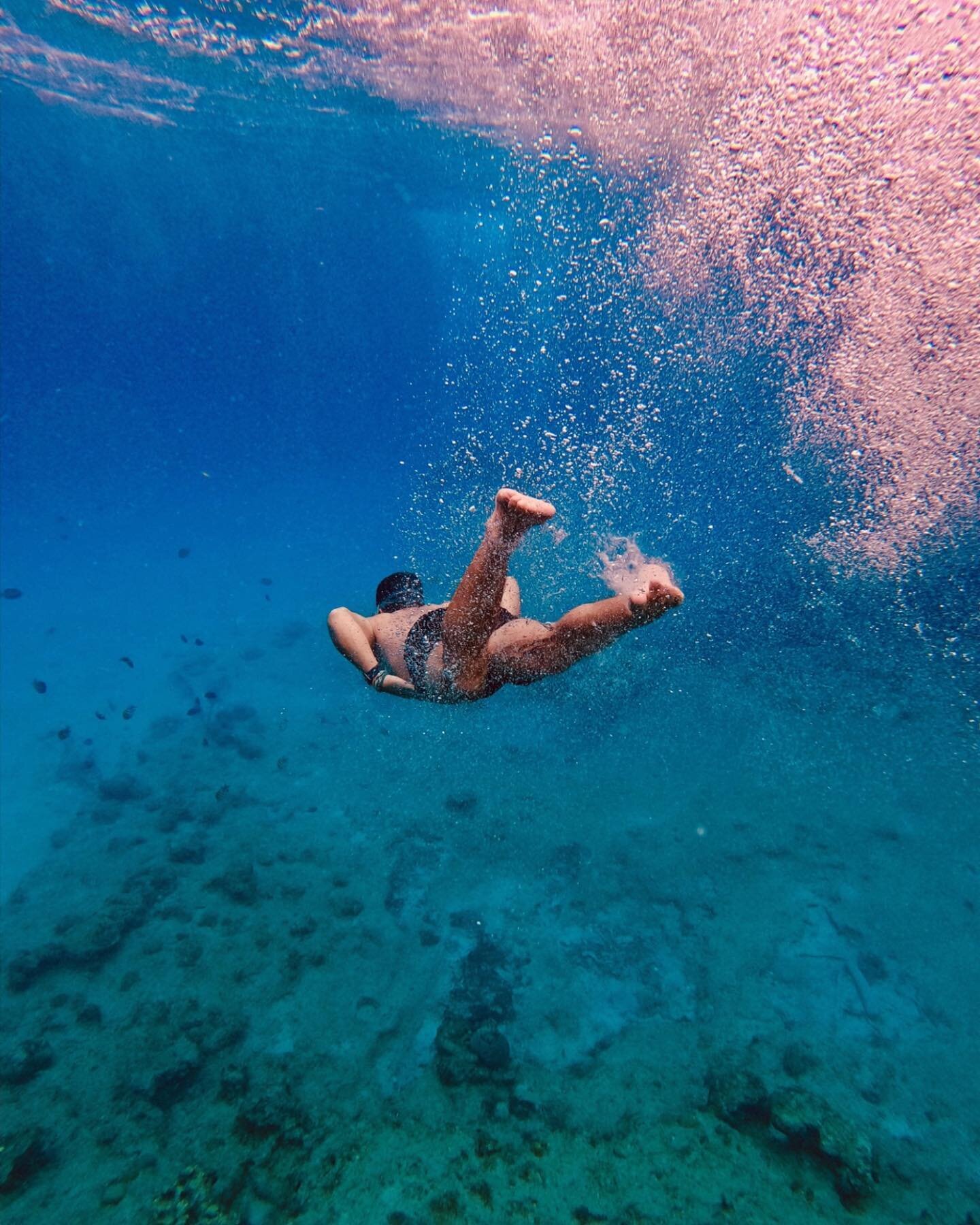 🧜&zwj;♂️.

#🤍🤍🤍 #🇨🇴 #colombia #adventure #sanandres #plunge 📷 @juancarlosmazo