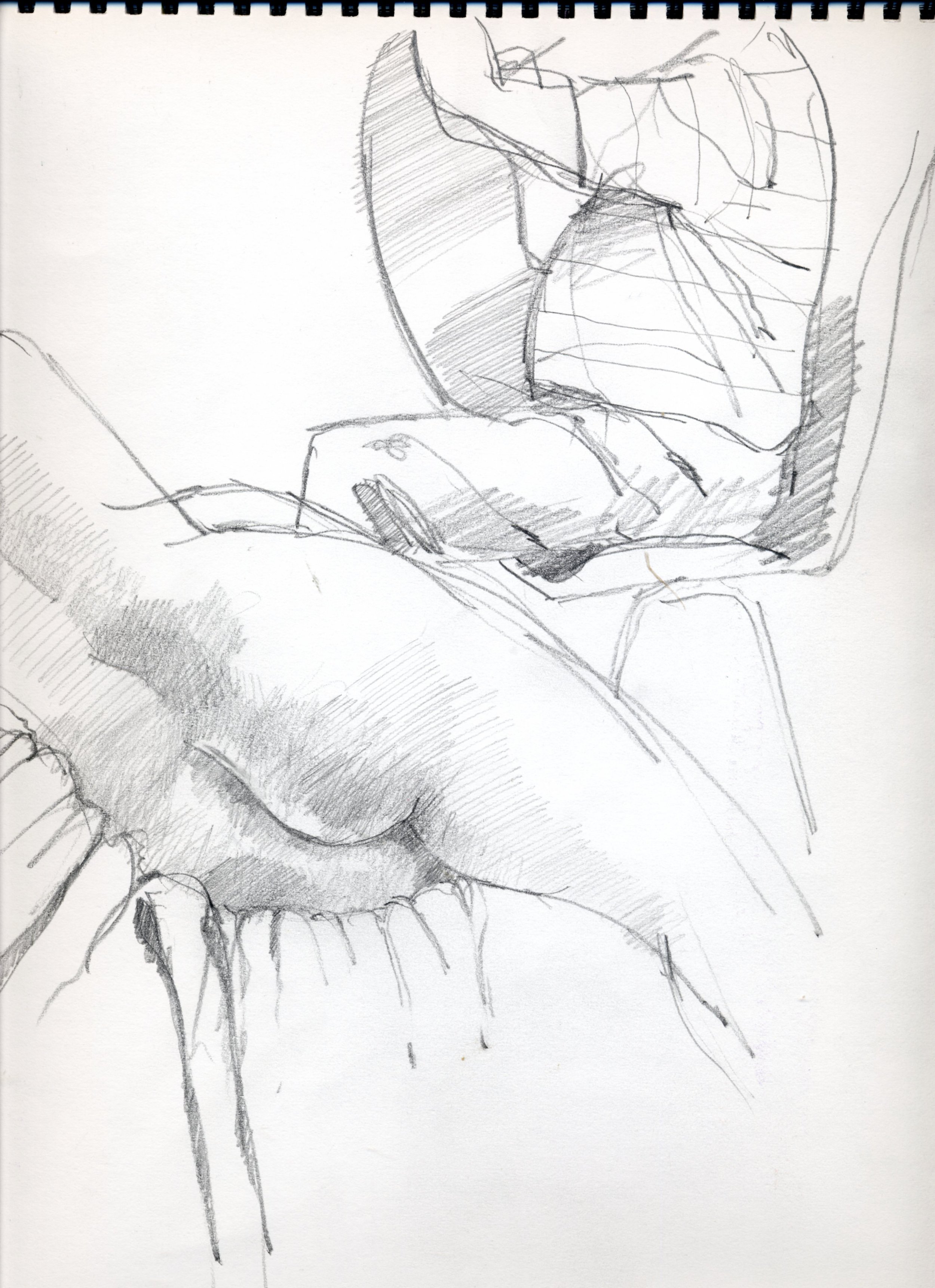 LIfe drawings 0003.jpg