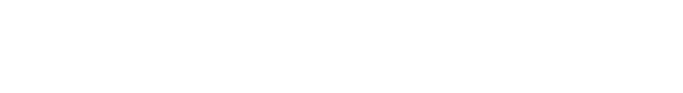 Willow Window logo