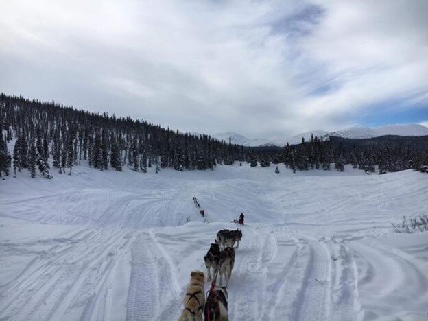 Out on one of our dog sledding adventures. Our guide Kristina coming back up, followed by me going down and then Adam’s team